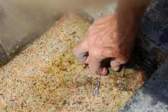 tomba D'Albertis