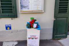 20260425_raccolta-fiori