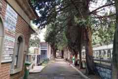 20250317_SanDesiderio-4