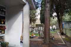 20250317_SanDesiderio-5