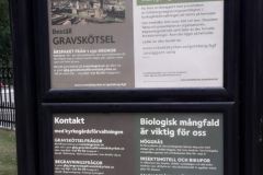 CIMITERO-GRAVSKOTSEL-5