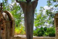 202405_pini-storti_1