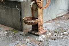 202405_pini-storti_5