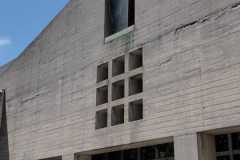 202405_pini-storti_6